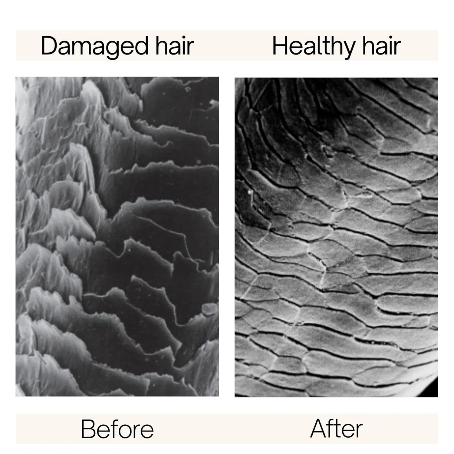 Спрей для легкого расчесывания Rausch Swiss Herbal Detangling Rausch — фото 4