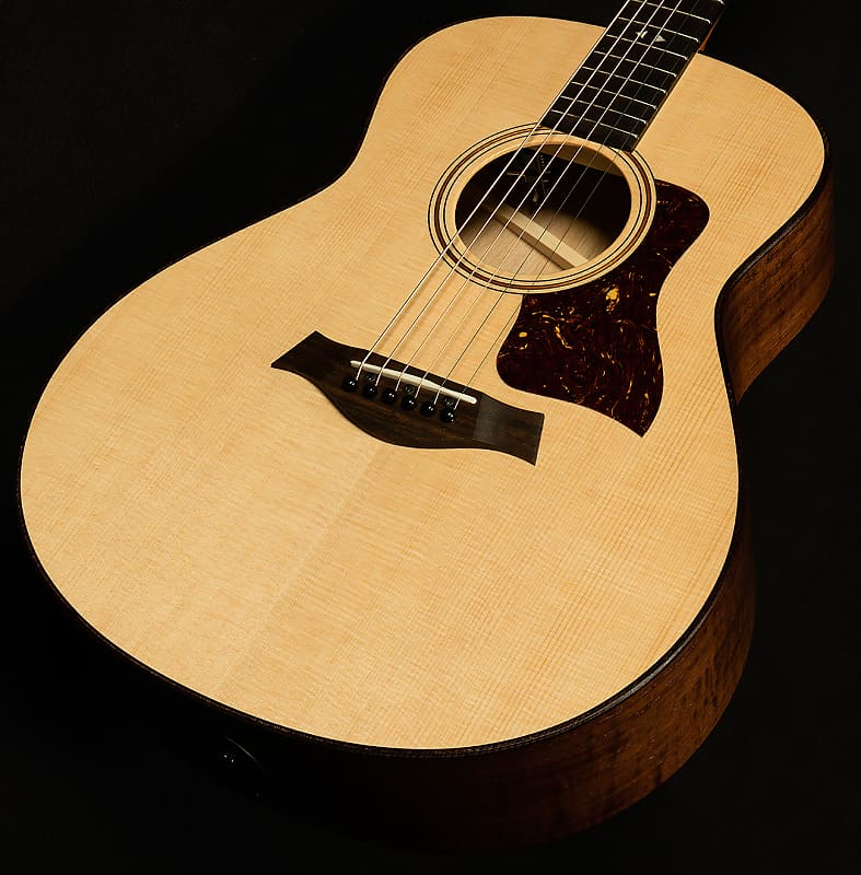 

Акустическая гитара Taylor Guitars GTe