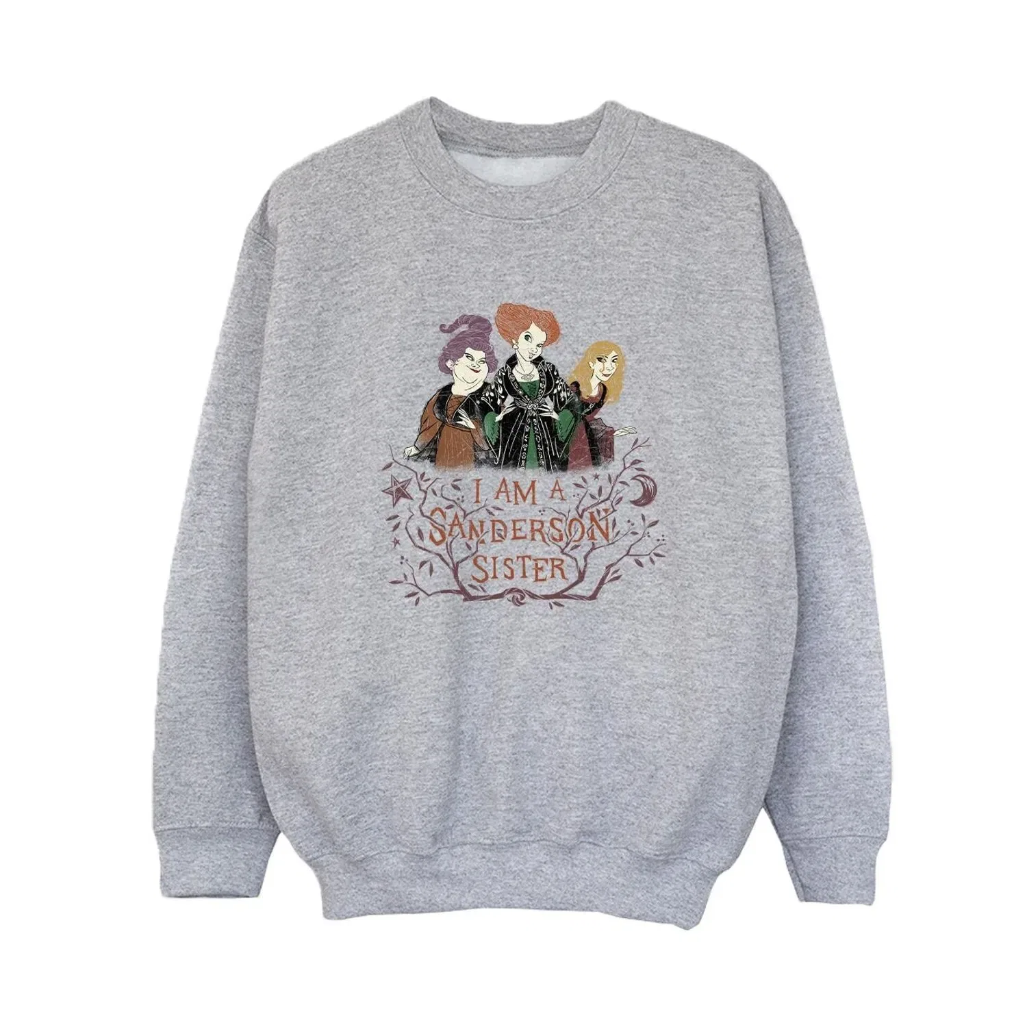 Худи Hocus Pocus Sanderson Sisters Disney, серый — фото 2