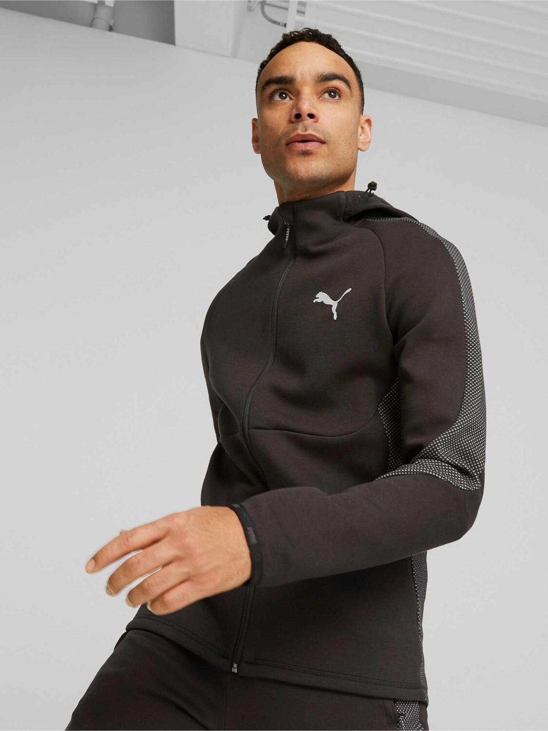 

Толстовка Puma EVOSTRIPE DK, черный