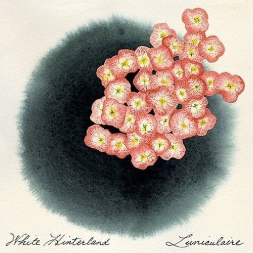 

CD диск White Hinterland: Luniculaire