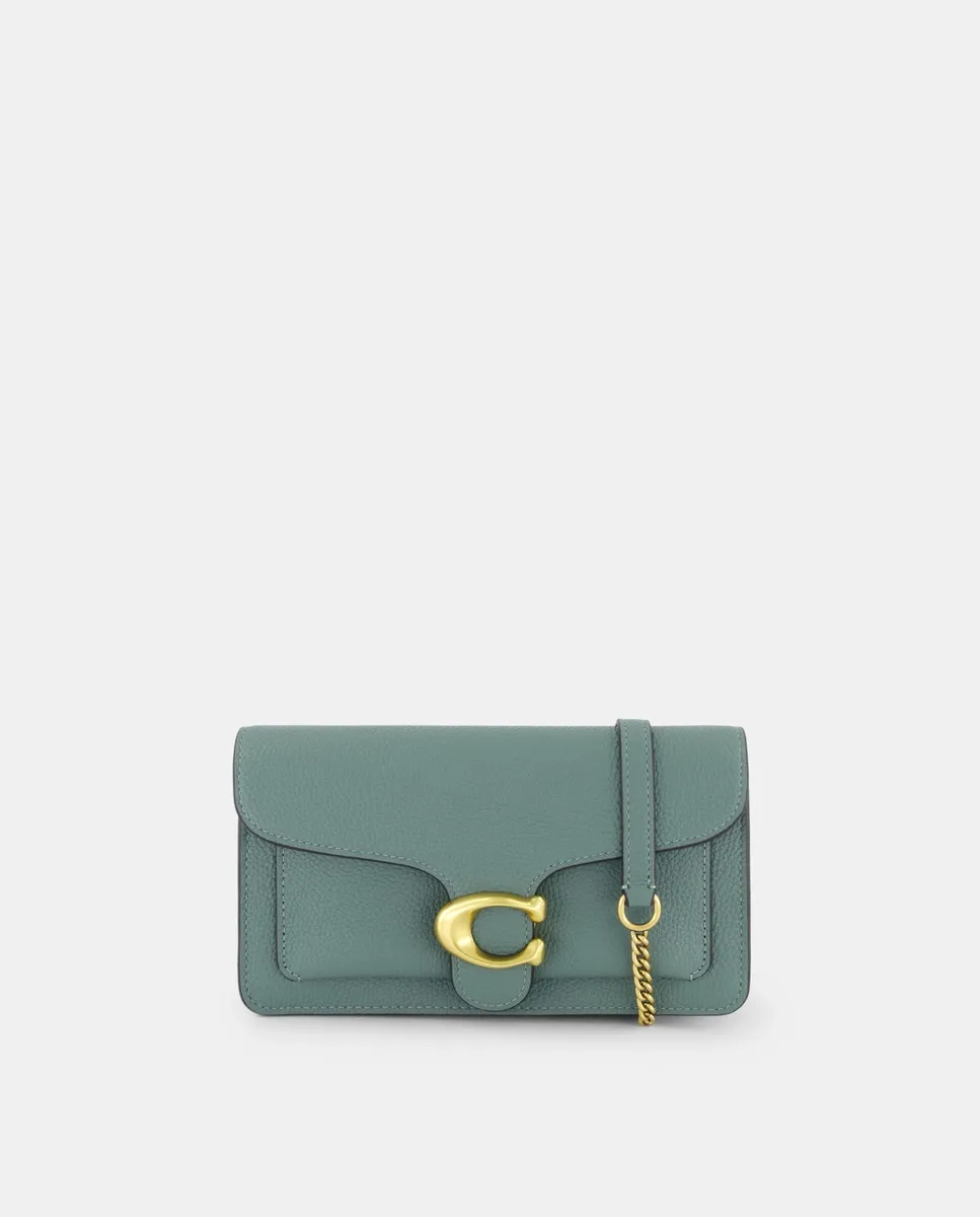 

Сумка-клатч из кожи с цепочкой Tabby Crossbody Coach, зеленый