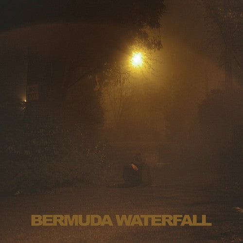 

CD диск Savage, Sean Nicholas: Bermuda Waterfall