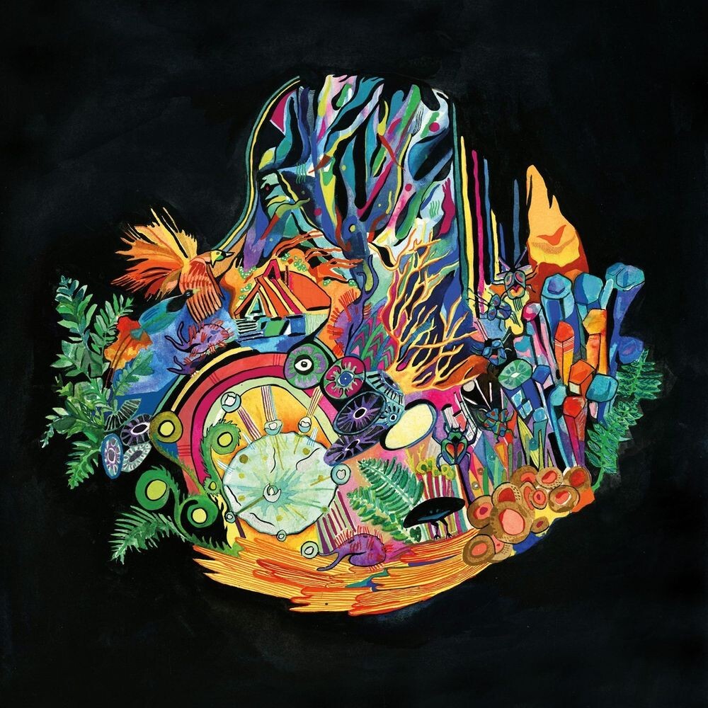 

Виниловая пластинка LP Ears - Kaitlyn Aurelia Smith