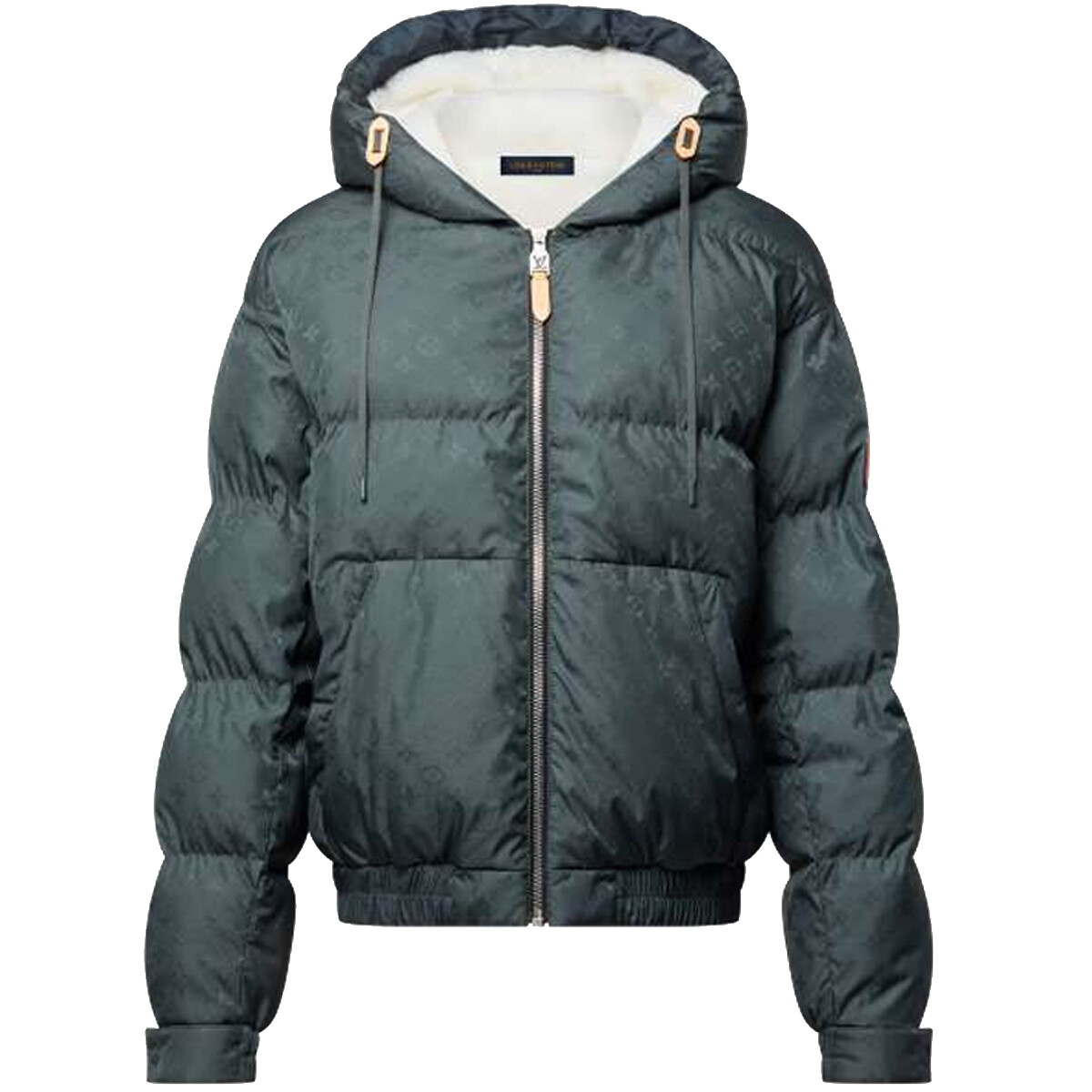 

SKI Skiing Series пуховик мужской зеленый Louis Vuitton