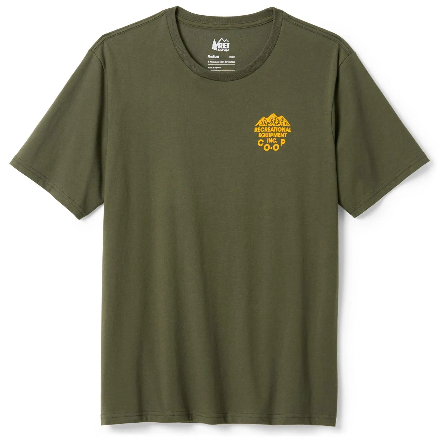 

Графическая футболка с горным значком REI Co-op, Shaded Olive