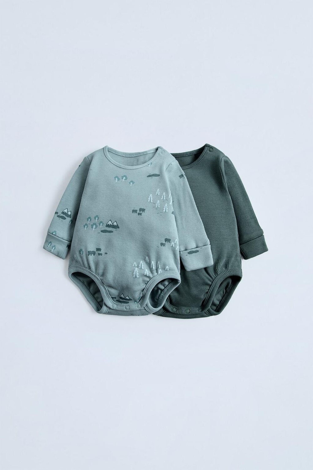 

Упаковка из 2 боди в ребристую стилку ZARA, зеленый/синий