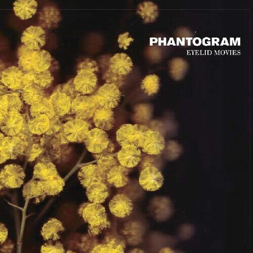 

Виниловая пластинка Phantogram: Eyelid Movies