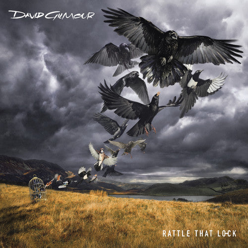 

CD диск Gilmour, David: Rattle That Lock