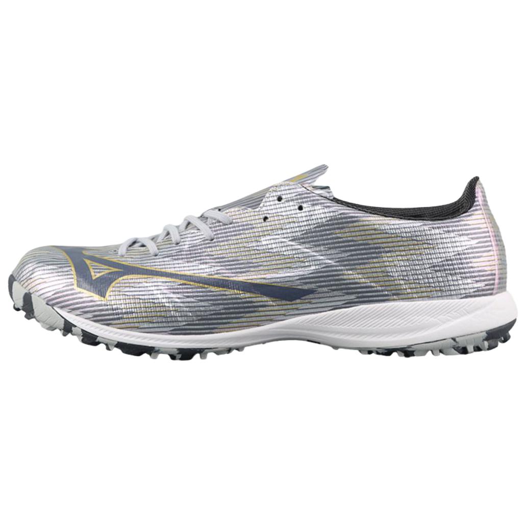 

Футбольные бутсы Alpha 2, мужские, низкие, серебристые Mizuno, Silver