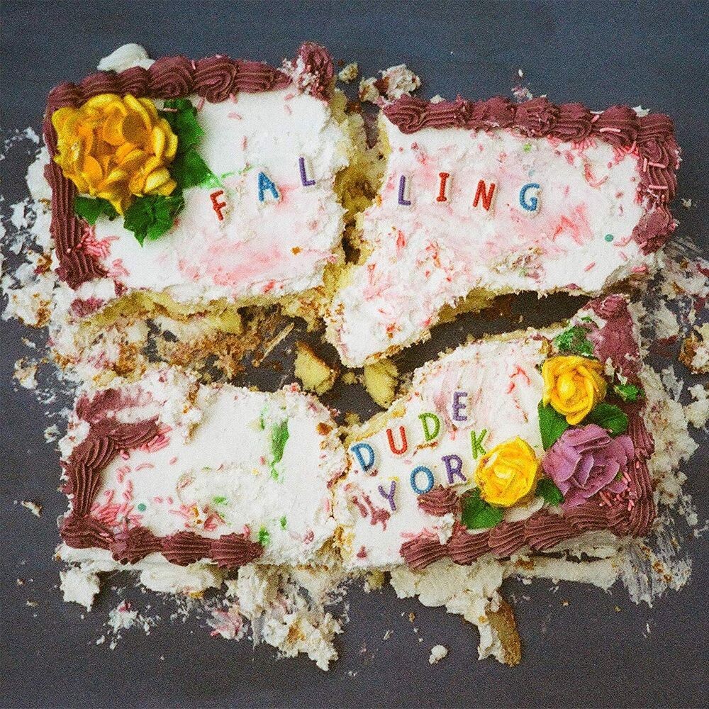 

Виниловая пластинка LP Falling - Dude York