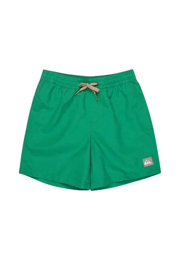 Плавки Quiksilver, Gnz