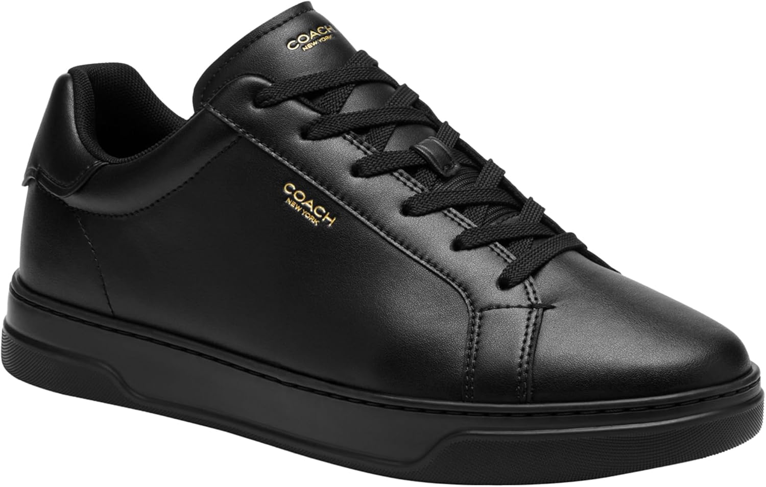 

Мужские кроссовки Coach High Line High Top из фирменного канваса, черный