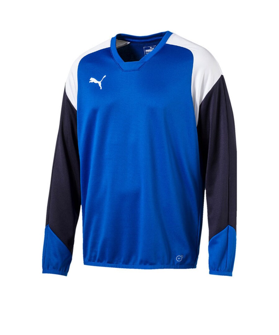 

Спортивная толстовка PUMA, королевский синий