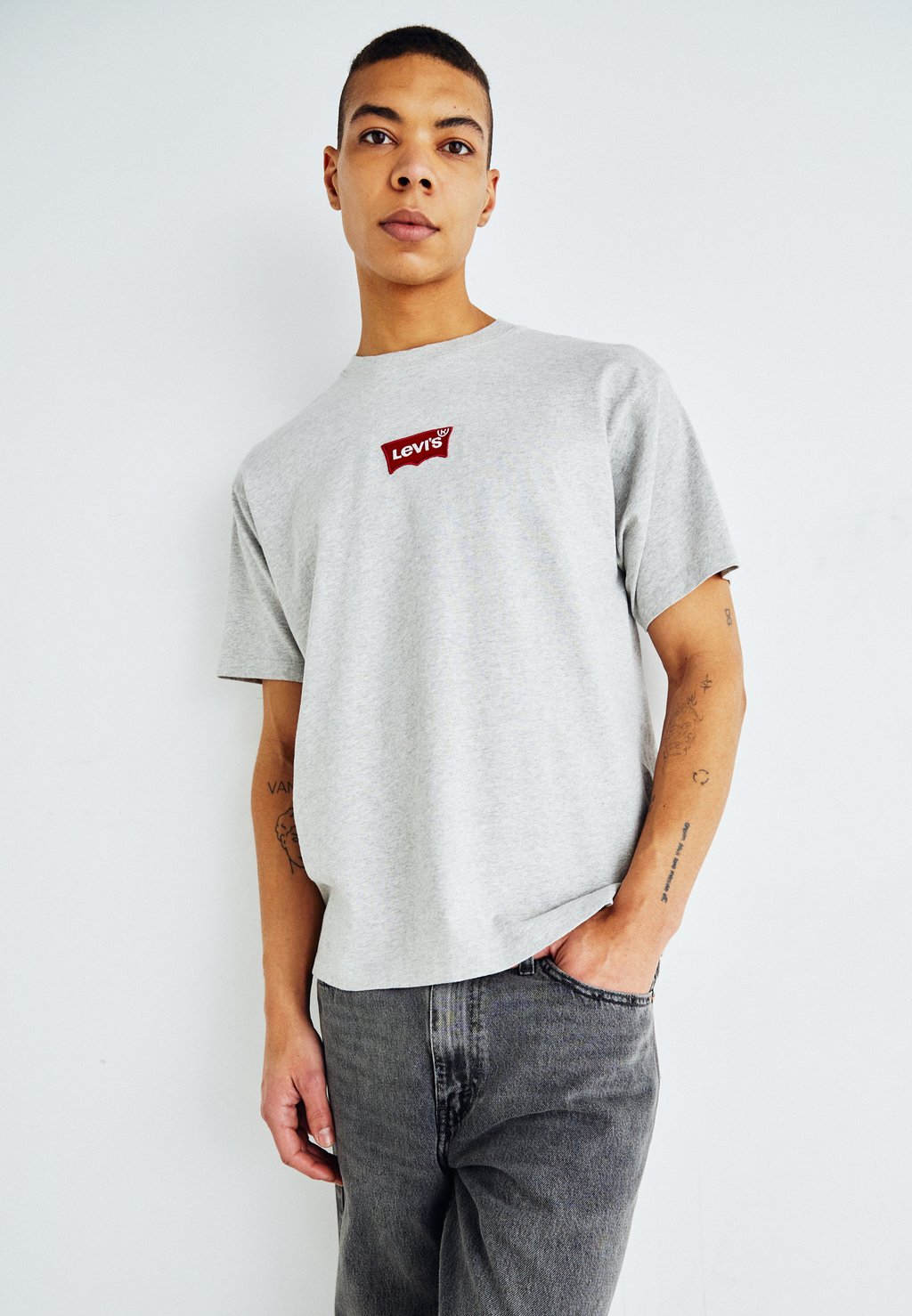 

футболка с принтом Vintage Fit Graphic Tee Levi's, цвет lse_batwing badge light heather grey