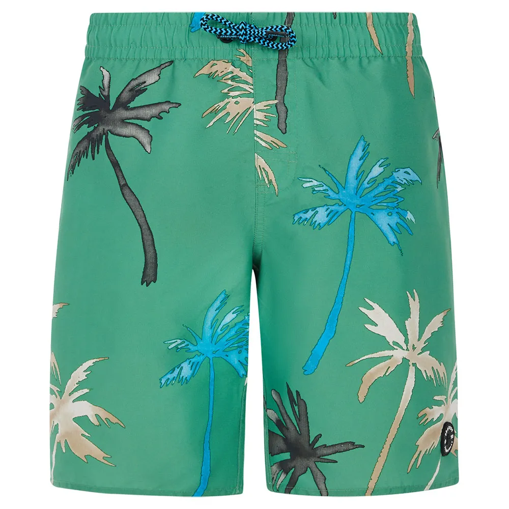 

Шорты для плавания Protest Brandon, зеленый