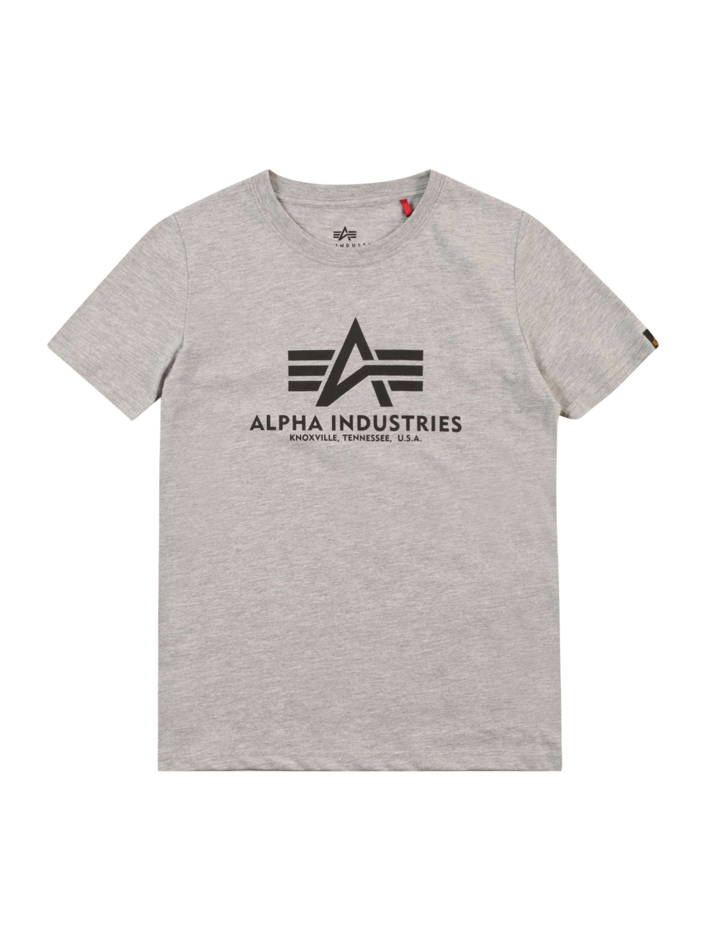 

ALPHA INDUSTRIES Футболка в крапинку серого цвета