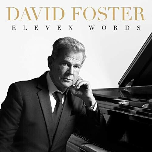 

CD диск Foster, David: Eleven Words