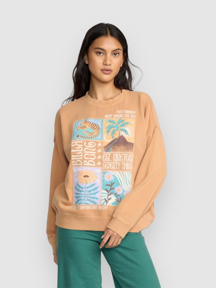 

Свитер Billabong Echo Crew Flc Sweater, dusty trails