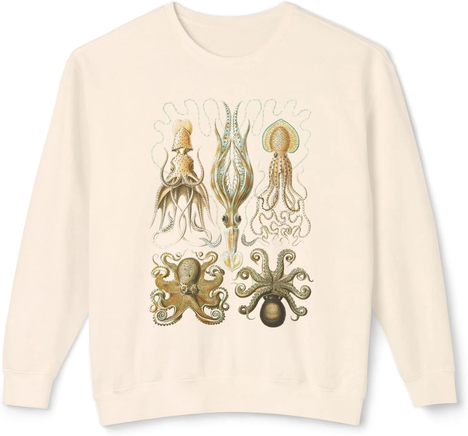 

Легкий свитшот Octopods с винтажной иллюстрацией осьминога Ernst Haeckel, унисекс
