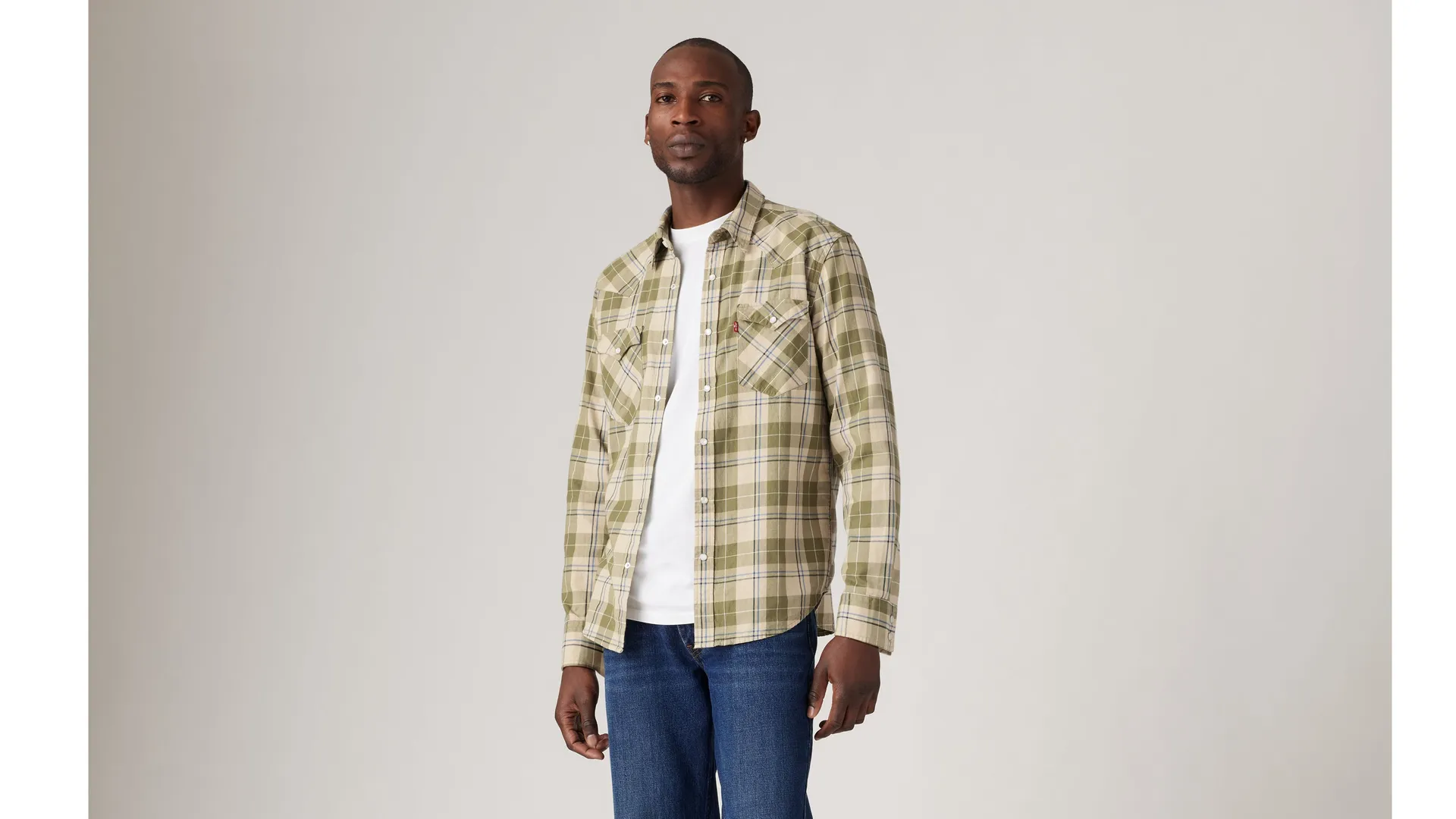 

Классическая рубашка стандартного кроя в стиле вестерн Levi's, мультиколор