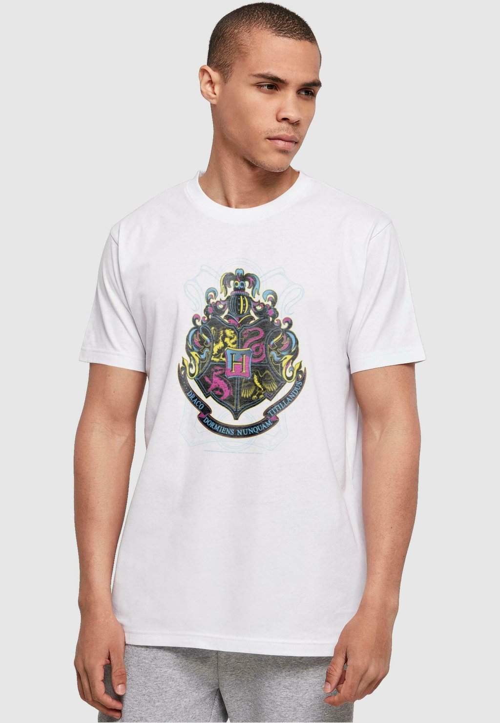 

Футболка с принтом Harry Potter Neon Hogwarts Crest ABSOLUTE CULT, белый