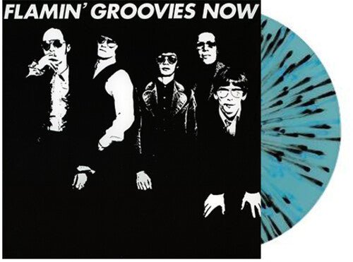 

Виниловая пластинка Flamin' Groovies - Now