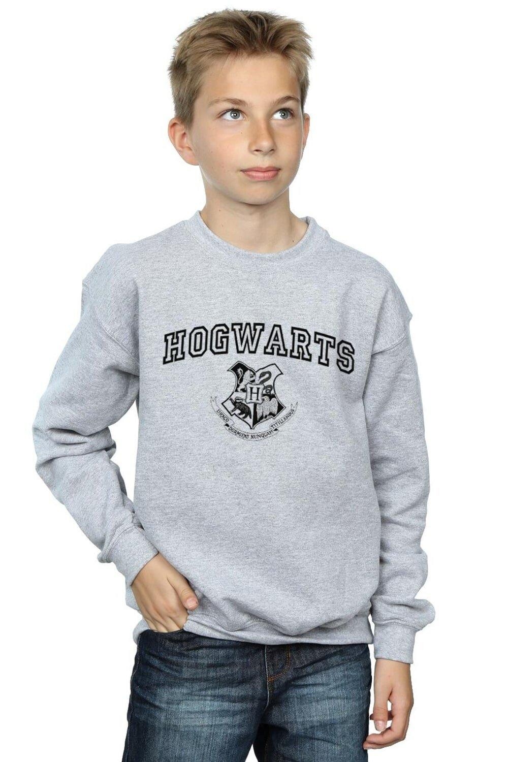 

Толстовка с гербом Хогвартса Harry Potter, серый