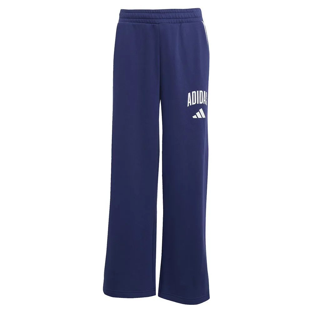 

Джоггеры adidas Seasonals Essentials Collegiate Typography, синий