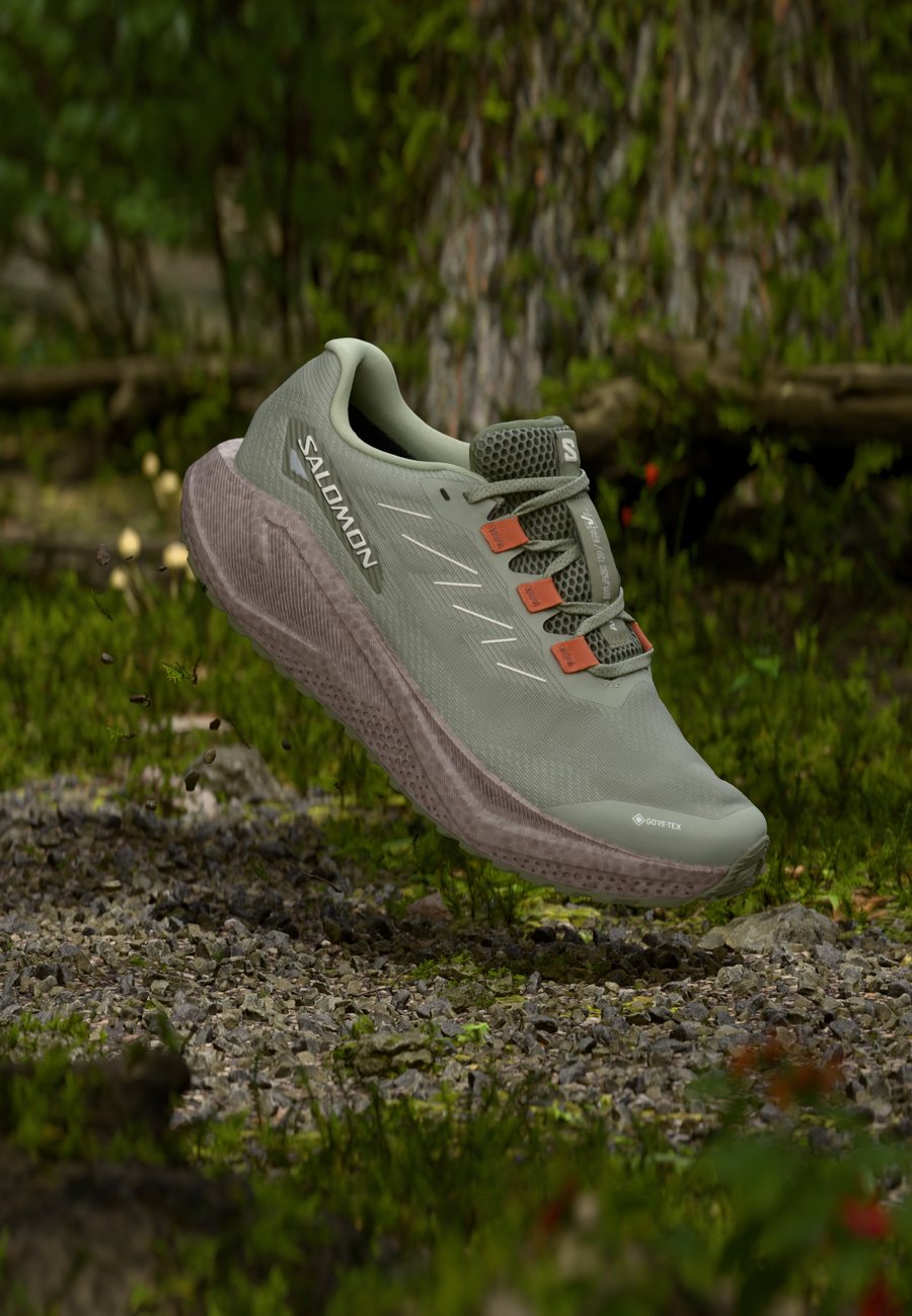 

Кроссовки Salomon AERO BLAZE 3 GRVL GTX, Tea/Iron/Burnt Ochre/Dark Green