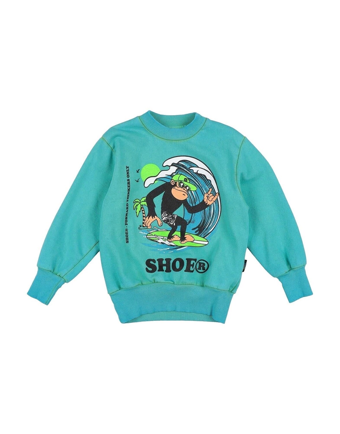 

Толстовка Shoe, бирюзовый