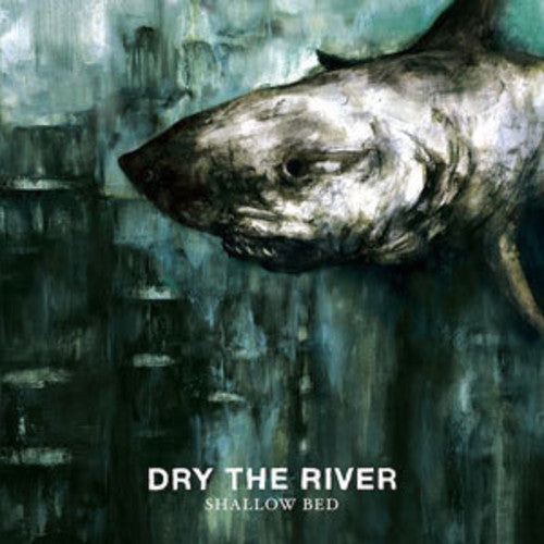 

CD диск Dry the River: Shallow Bed