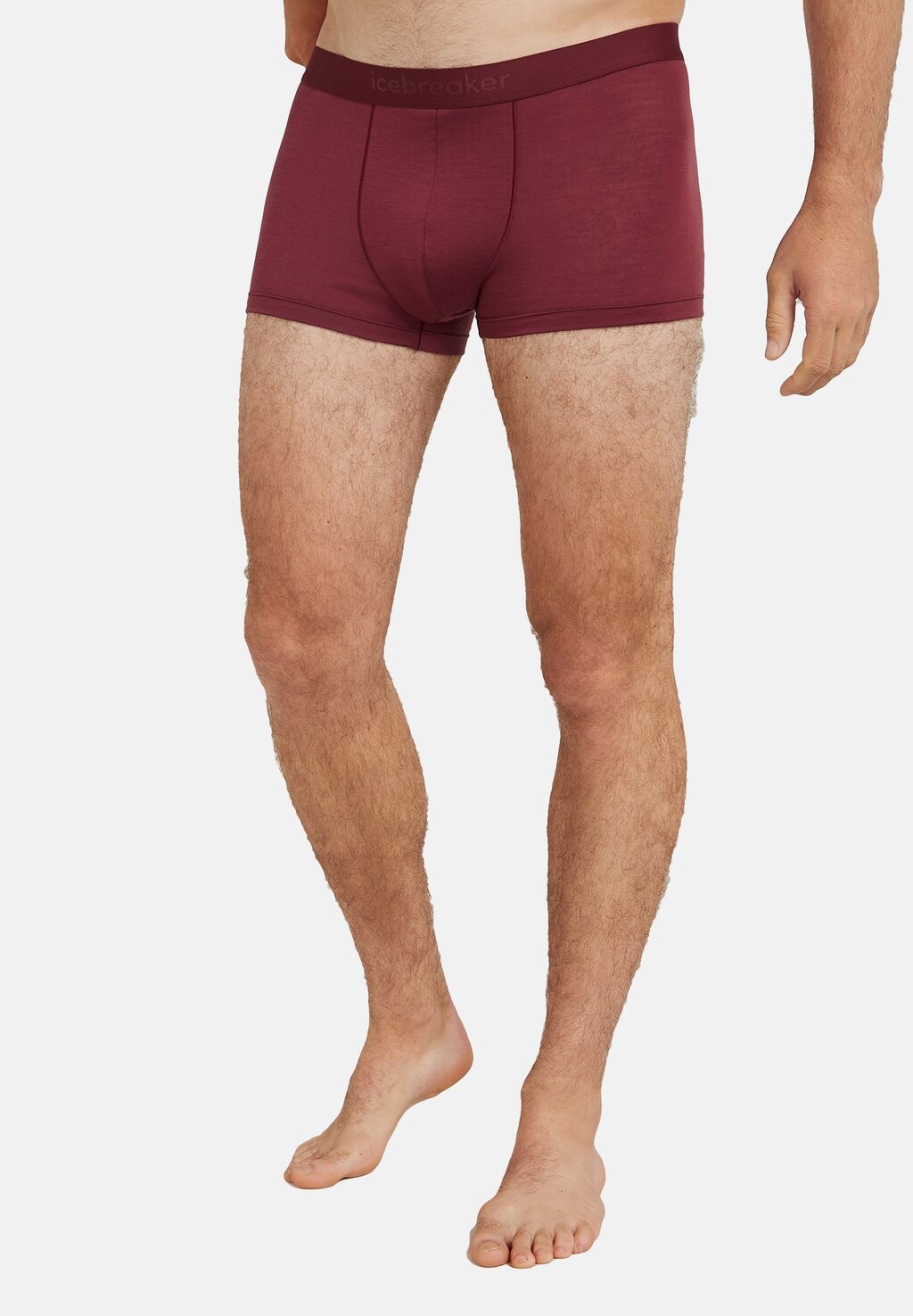 

Плавки MERINO 125 LIGHT WEIGHT COOL-LITE ANATOMICA Icebreaker, красный