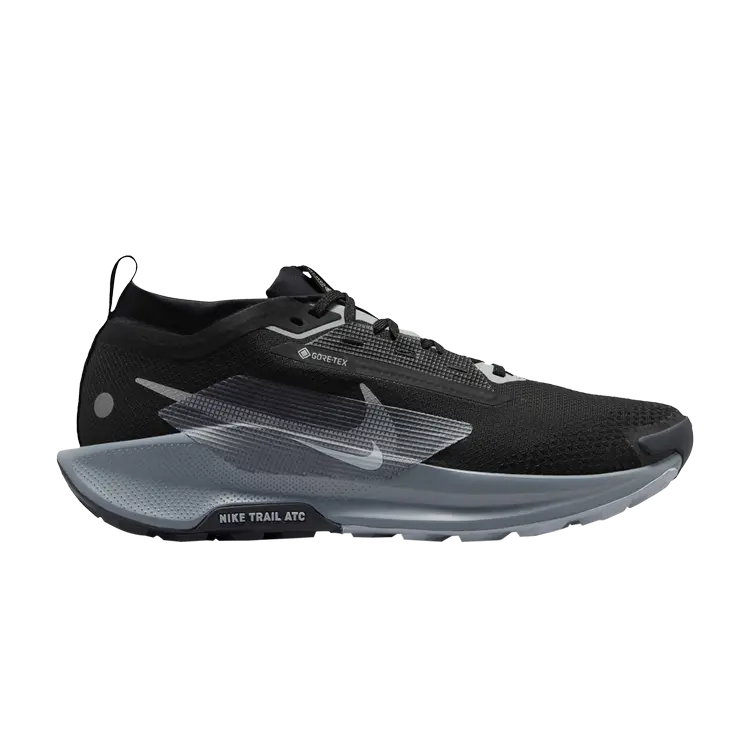 

Кроссовки Pegasus Trail 5 GORE-TEX, цвет Black Wolf Grey