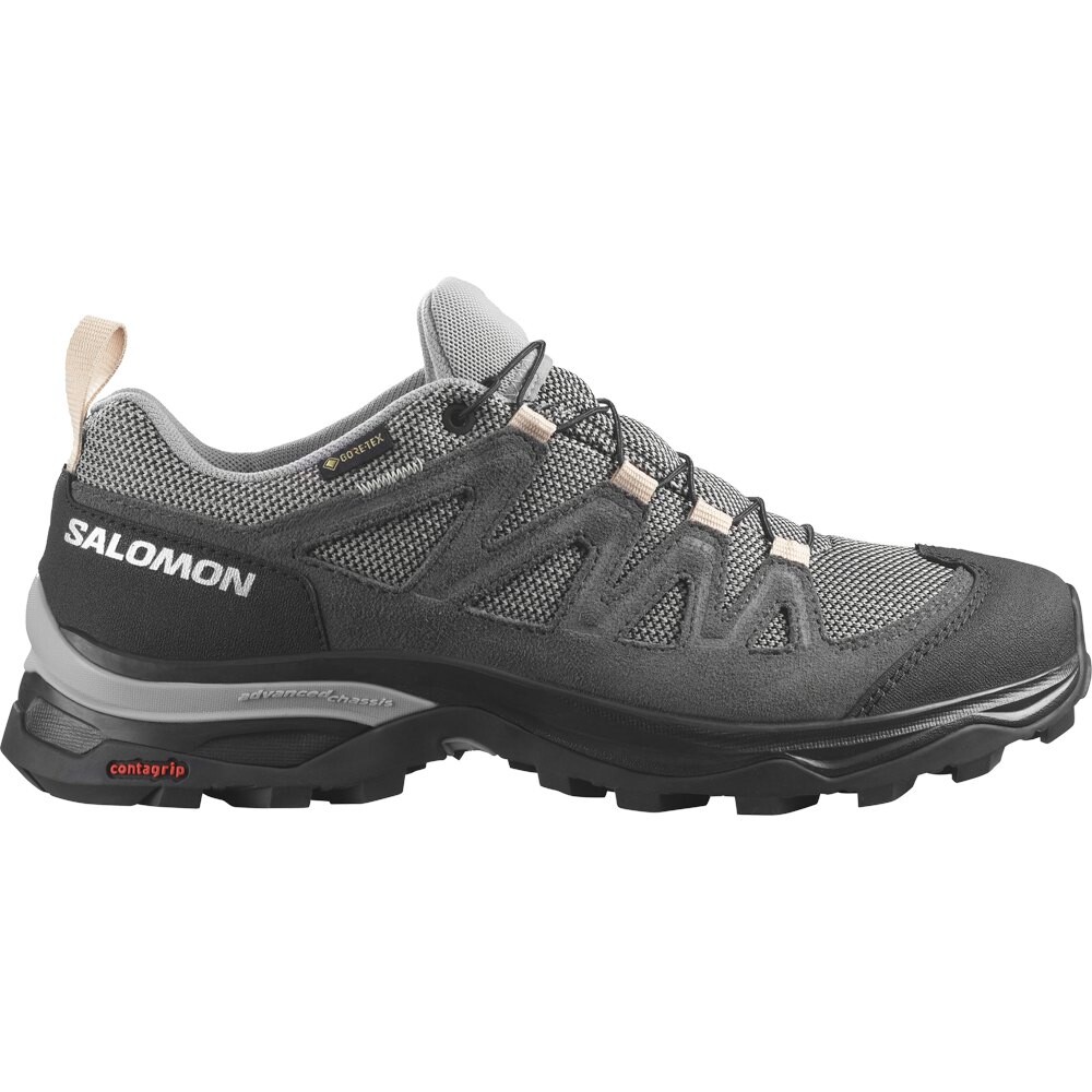 

Походная обувь Salomon X-Ward Leather Goretex, серый