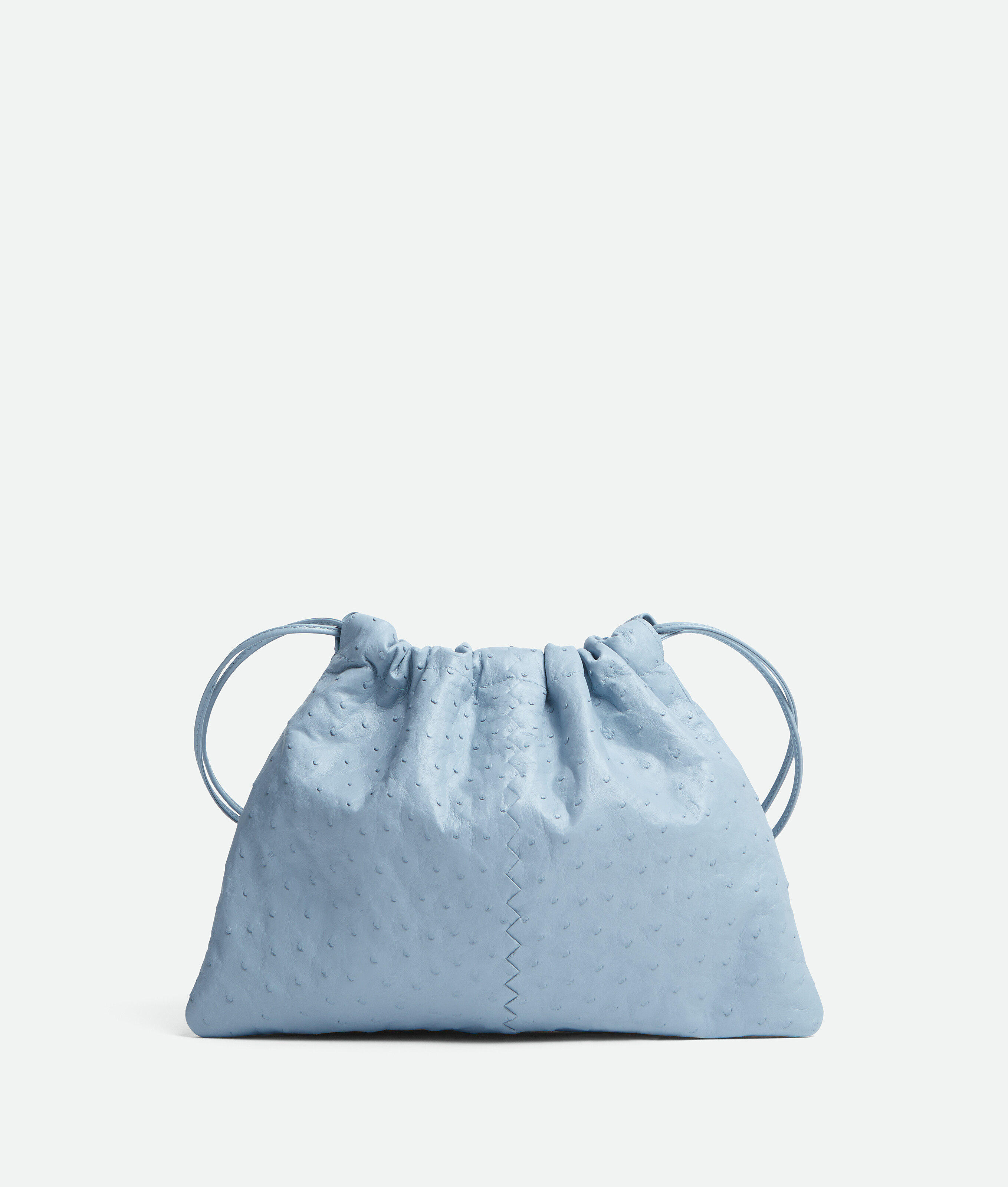 

Dustbag BOTTEGA VENETA, лед
