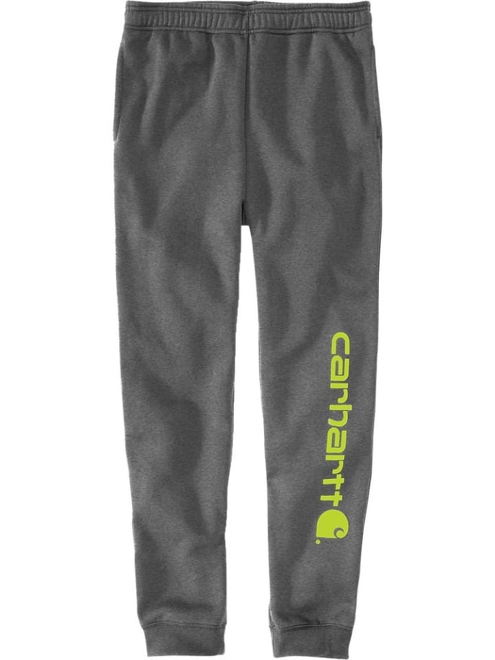 

Спортивные штаны CARHARTT , серый