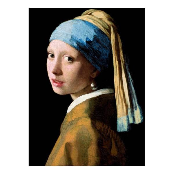 

Картина Reinders Jan Vermeer I, разноцветный