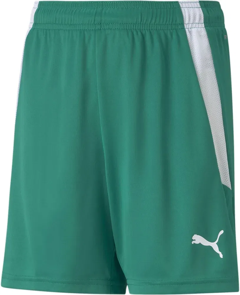 Спортивные шорты teamLIGA, Puma, зеленый