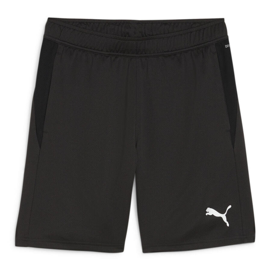 

Мужские шорты Puma teamGOAL Training Short 658643