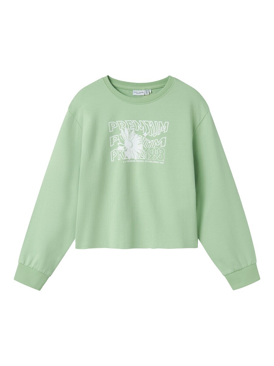 

Худи NAME IT Sweatshirt NKFVANITA, пастельный зеленый