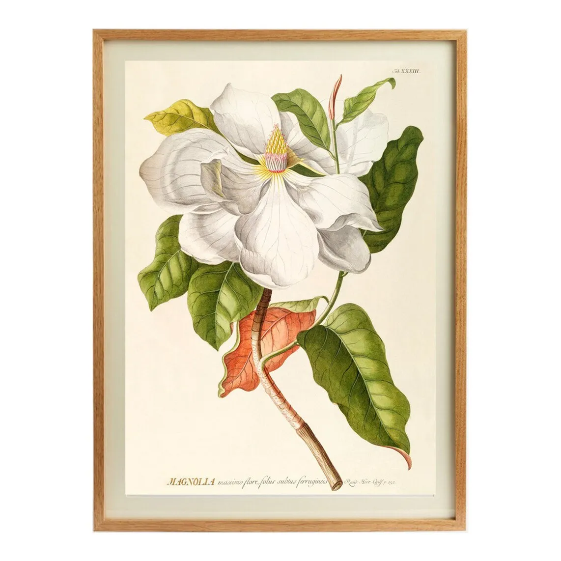 

FND WHT Flowers PSTR Студийный лист + Marco Thor El Corte Inglés