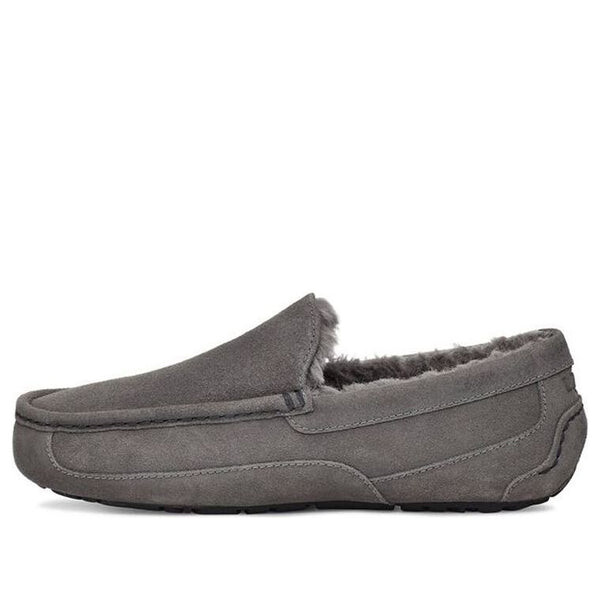 

Кроссовки аскот слип-он Ugg, серый
