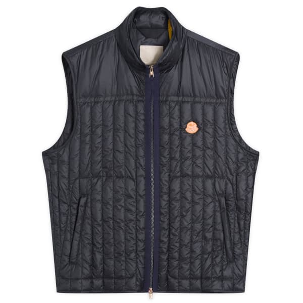 

Ферма Гилга Дональда Гловера, мандариновый жилет Moncler Genius, синий