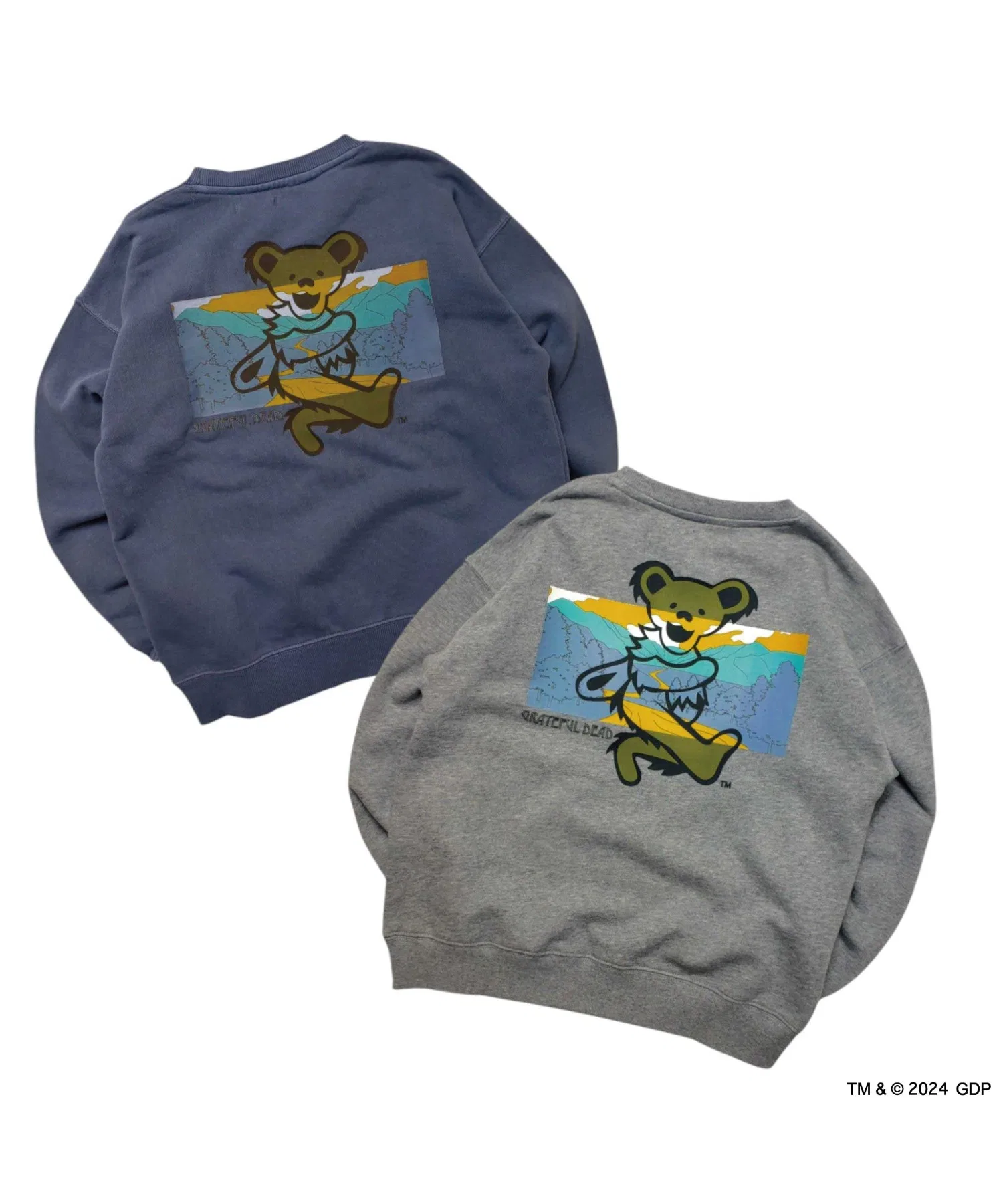 Детская толстовка RIVER SIDE CULTURE/Grateful Dead RIVERSIDE BEAR (M4) — фото 2
