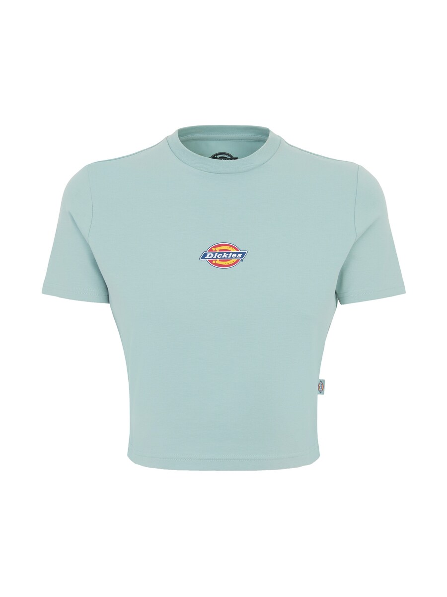 

Рубашка DICKIES MAPLE VALLEY, цвет Blue/Turquoise