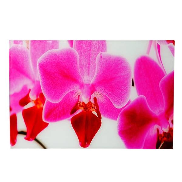 

Стеклянная картина MCW T117 Orchidee, многоцветный