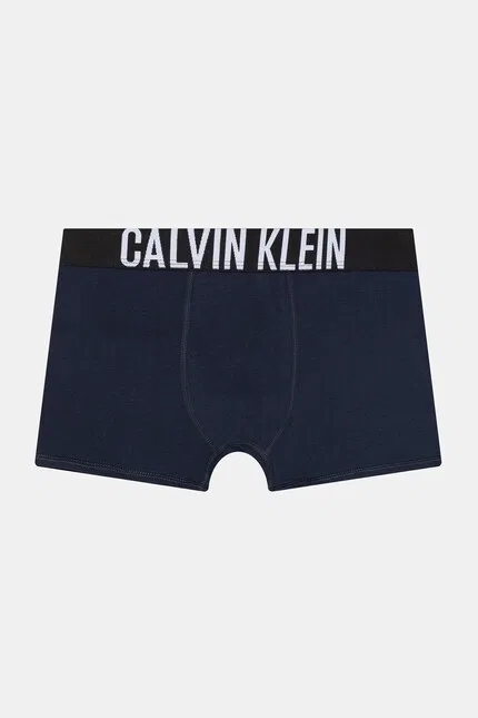Боксеры детские хлопковые 2 шт Calvin Klein Underwear, синий — фото 3