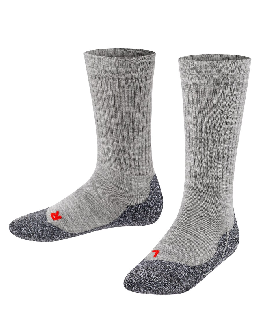 

Спортивные носки FALKE, цвет Grey/Dark grey