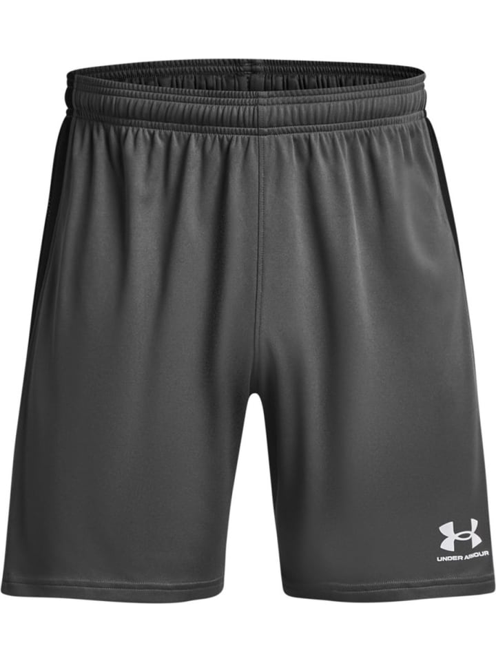 

Тканевые шорты UA M'S Ch. Knit Short Under Armour, серый